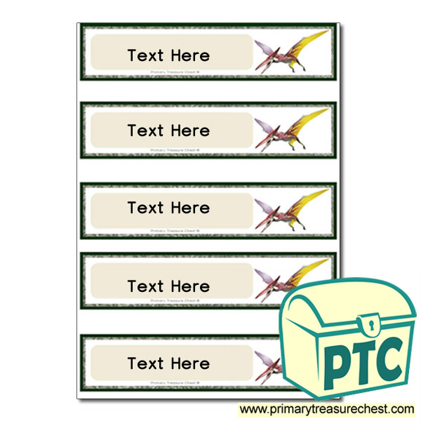 Pterodactyl Dinosaur Themed Pupil Drawer Labels (Small)
