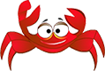 Activity Image