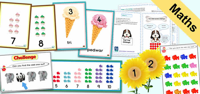 Home Box 1 - maths