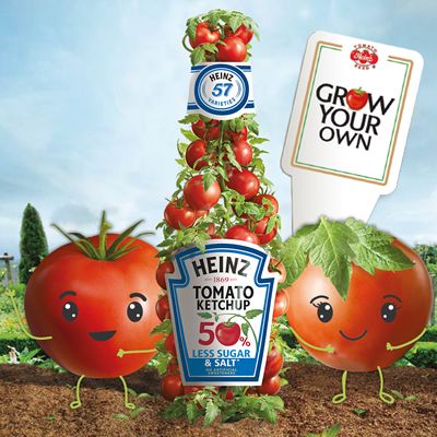Grow Your Own tomato
