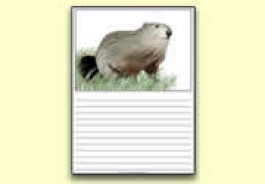 Groundhog Day Resources