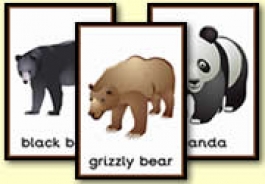 Bear Themed Resources