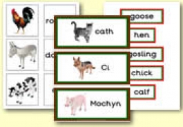 Farm Animals Themed Resources