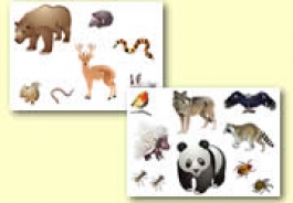 Forest and Wood Animal Resources