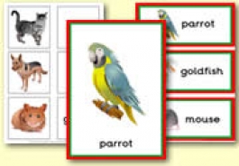 Pet Themed Teaching Resources
