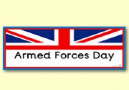 Armed Forces Day Teaching Resources