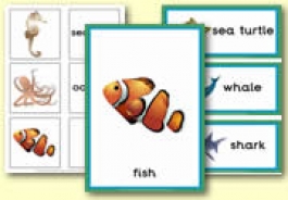 Sea Life Themed Resources