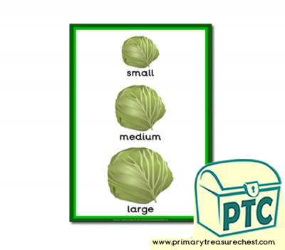 Cabbage themed Small - Medium - Large - A4 poster