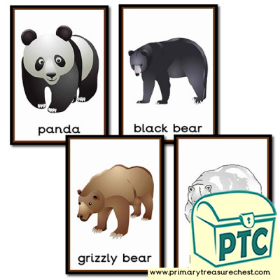 Bear Posters