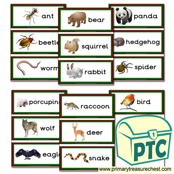  Forest and Wood Animal Themed Flashcards