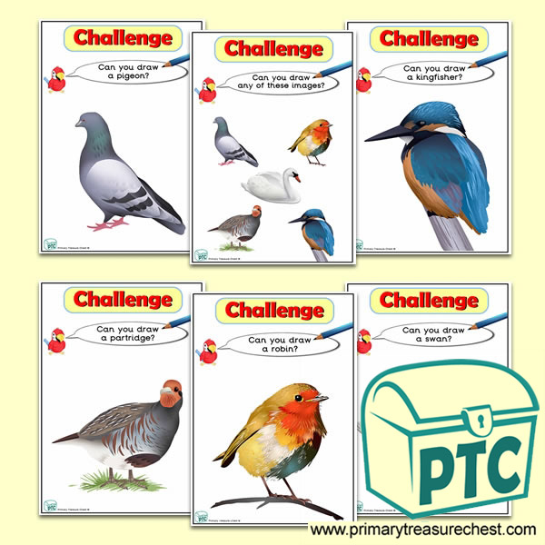 British Birds  Themed ICT Challenge Cards