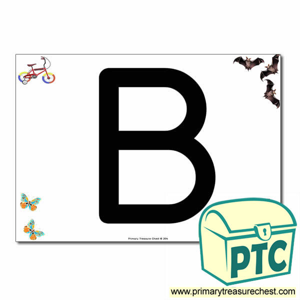 'B ' Uppercase Letter A4 poster with high quality realistic images