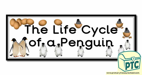 'The Life Cycle of a Penguin' Display Heading/ Classroom Banner