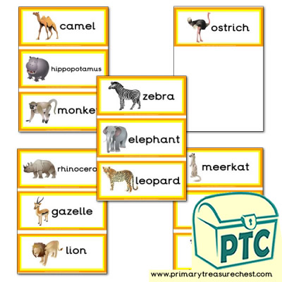 African Animal Themed Flashcards