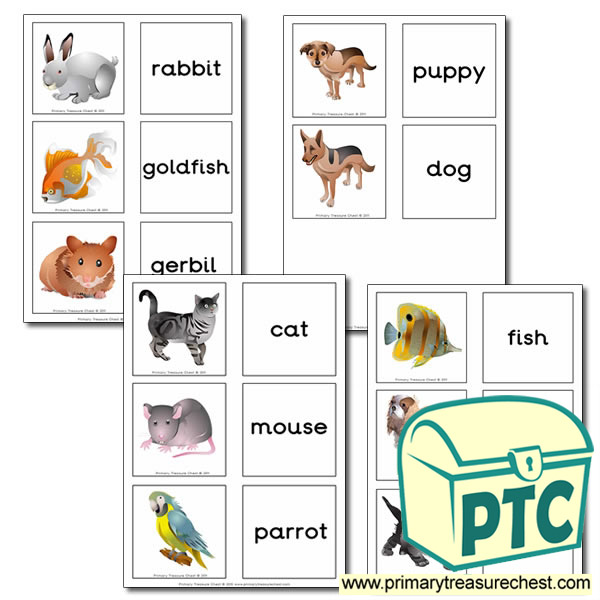 Pet Animals Themed Matching Cards