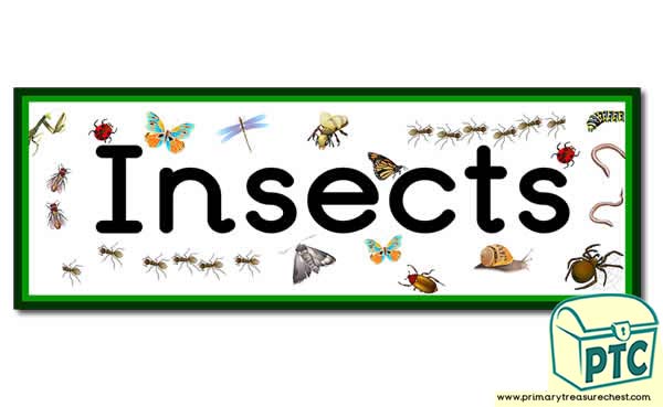 'Insects' Display Heading /  Classroom Banner