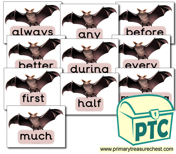 Bat Themed Year 4 MF Words- (group 5)