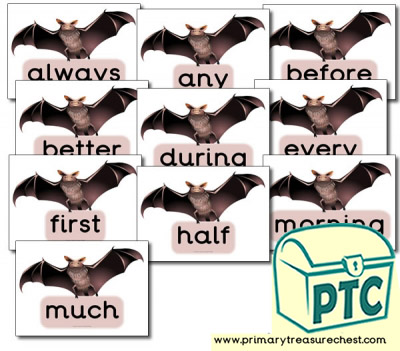 Bat Themed Year 4 MF Words- (group 5)