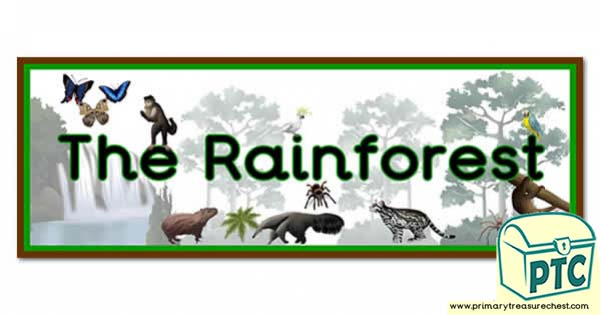 'The Rainforest' Display Heading/ Classroom Banner