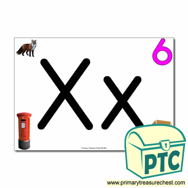 'Xx' Upper and Lowercase Letters A4 posterposter with realistic images