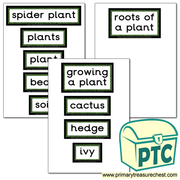 Plant Themed Display words