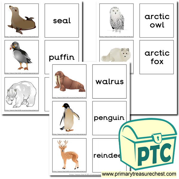 Polar Animal Themed Matching Cards