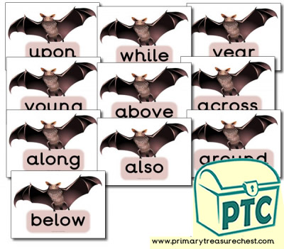 Bat Themed Year 4 MF Words- (group 7)