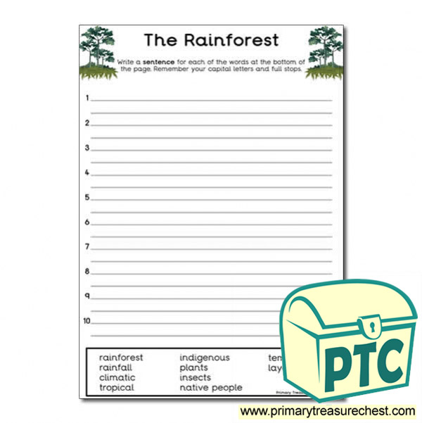 'The Rainforest' Themed Sentence Worksheet - Primary Treasure Chest