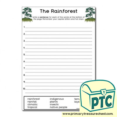 'The Rainforest' Themed Sentence Worksheet