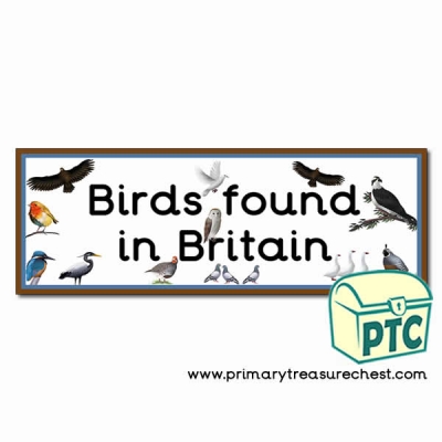 'Birds found in Britain' Display Heading/Banner