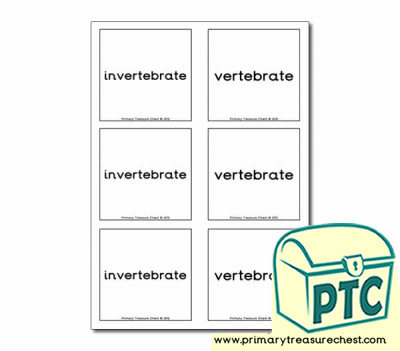 Vertebrate and invertebrate Matching Cards