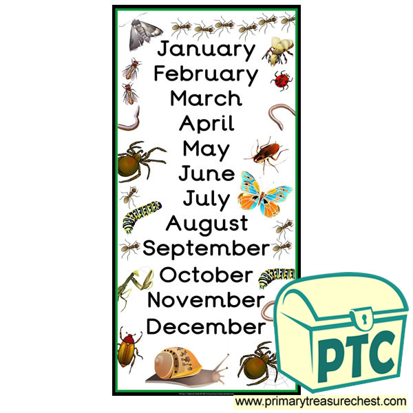 Minibeasts Themed Months of the Year Poster