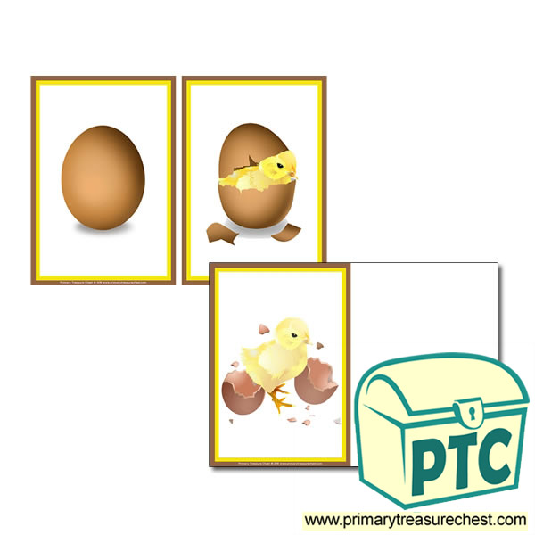 Chick Hatching Sequence Cards