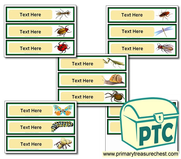 Various Minibeast Themed Pupil Drawer Labels (Large)