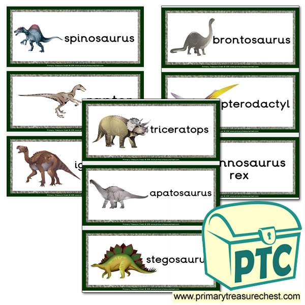Dinosaur Themed Flashcards