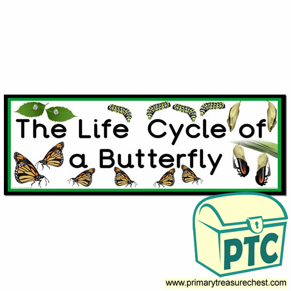 'The Life Cycle of a Butterfly' Display Heading/ Classroom Banner