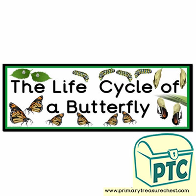 'The Life Cycle of a Butterfly' Display Heading/ Classroom Banner