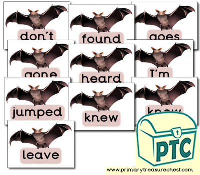 Bat Themed Year 4 MF Words- (group 2)