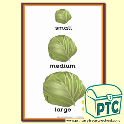 Cabbage Themed Different Sizes Poster