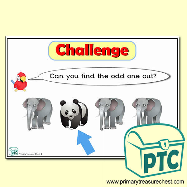 Animal themed Odd-One-Out Challenge A4 Poster