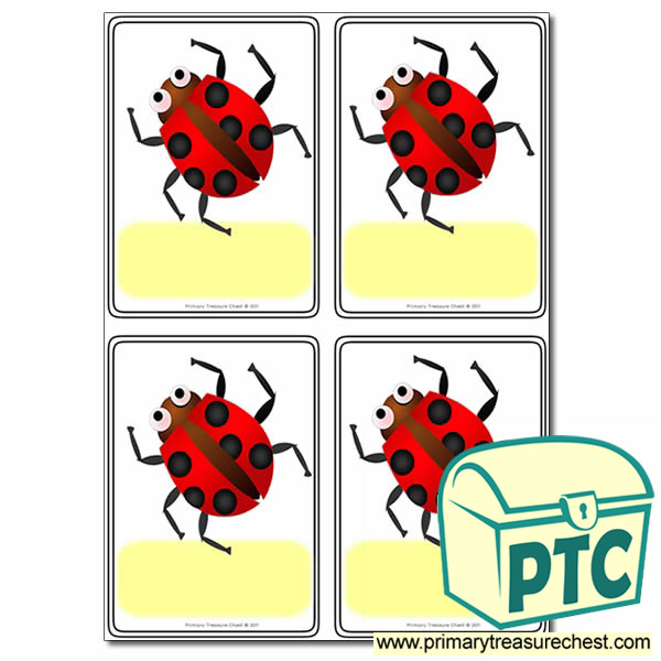 Minibeasts - Ladybird Themed Registration Name Cards