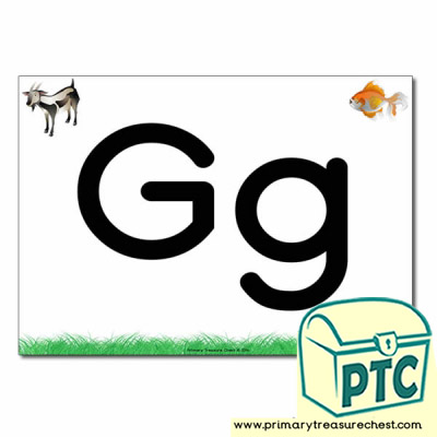 'Gg' Upper and Lowercase Letters A4 posterposter with realistic images