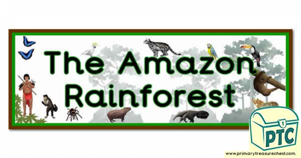 'The Amazon Rainforest' Display Heading/ Classroom Banner