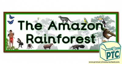 'The Amazon Rainforest' Display Heading/ Classroom Banner