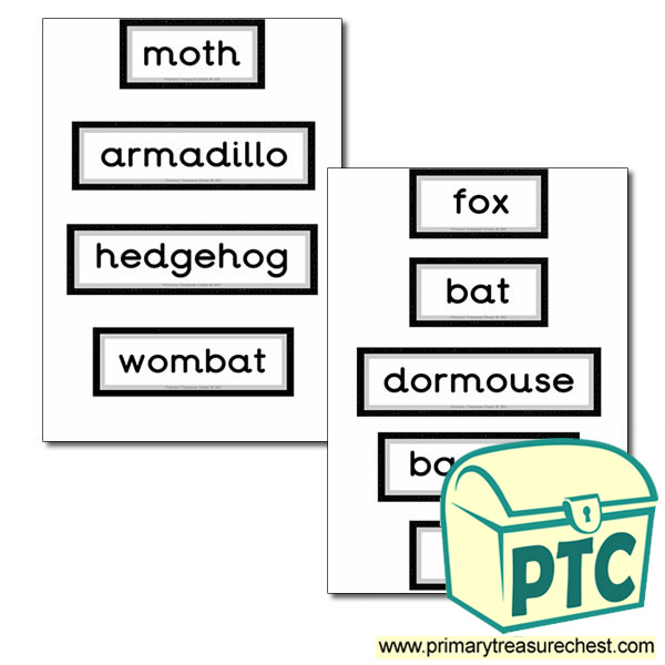Nocturnal Animal Themed Display Words