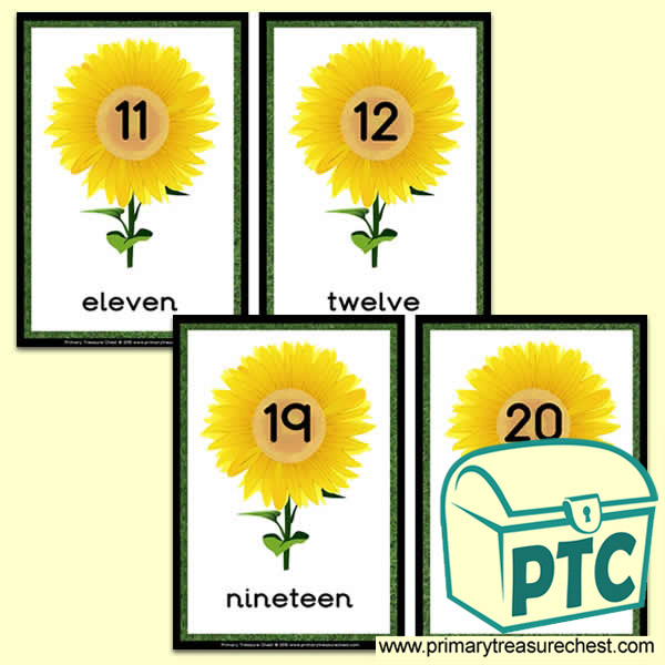 Sunflower Number Line 11 to 20