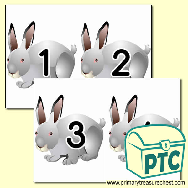 Rabbit Themed Number Cards 0 to 25