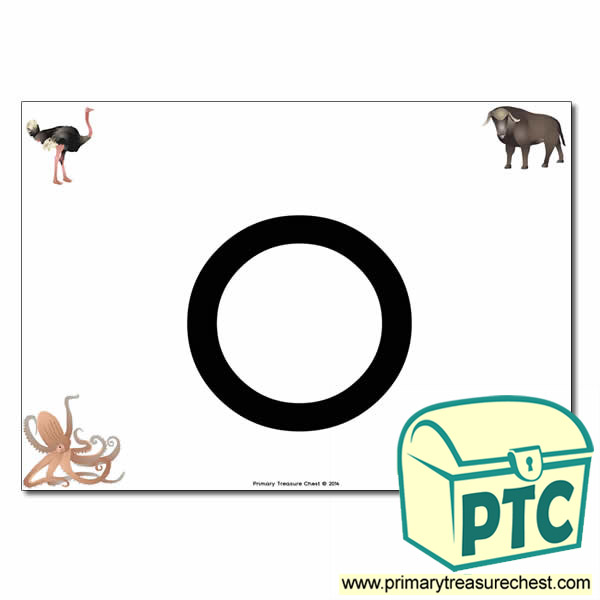  'o' Lowercase  Letter A4 Poster containing high quality realistic images.