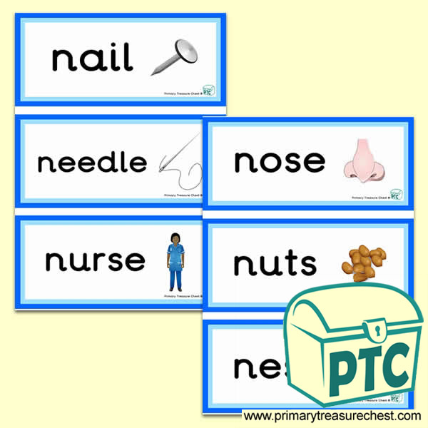 Letter 'n'  Themed Flashcards
