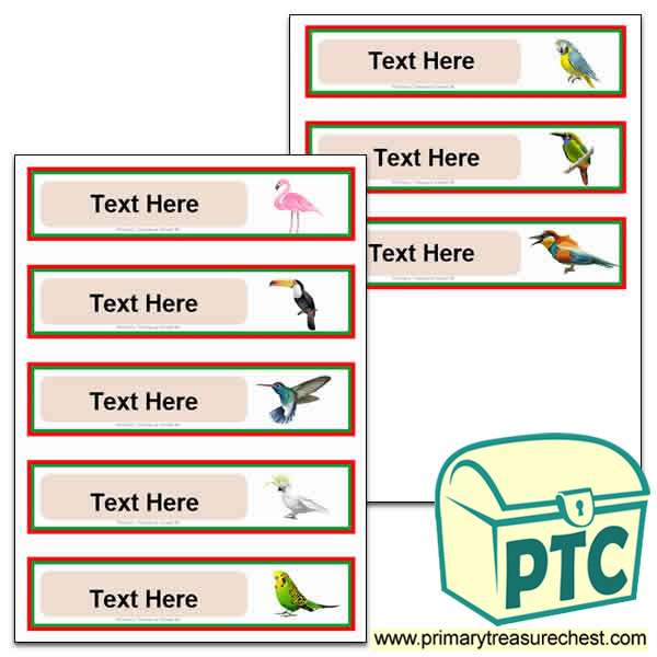 Tropical Birds Pupil Drawer Labels (Small)